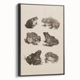 Vintage Grunge Frog Illustration - Distressed Amphibian Wall Art Print