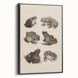 Vintage Grunge Frog Illustration - Distressed Amphibian Wall Art Print