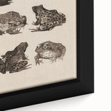 Vintage Grunge Frog Illustration - Distressed Amphibian Wall Art Print