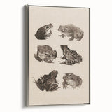 Vintage Grunge Frog Illustration - Distressed Amphibian Wall Art Print