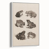 Vintage Grunge Frog Illustration - Distressed Amphibian Wall Art Print