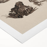 Vintage Grunge Frog Illustration - Distressed Amphibian Wall Art Print