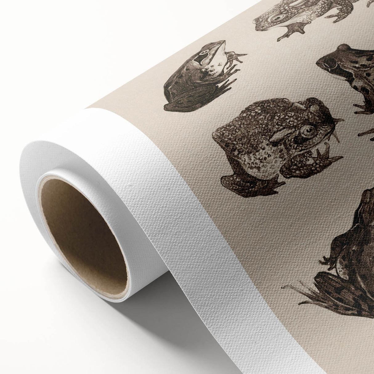 Vintage Grunge Frog Illustration - Distressed Amphibian Wall Art Print