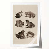Vintage Grunge Frog Illustration - Distressed Amphibian Wall Art Print