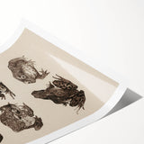 Vintage Grunge Frog Illustration - Distressed Amphibian Wall Art Print