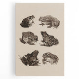 Vintage Grunge Frog Illustration - Distressed Amphibian Wall Art Print