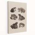 Vintage Grunge Frog Illustration - Distressed Amphibian Wall Art Print