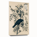 Grunge Crow and Fruit Illustration - Vintage Botanical Wall Art Print