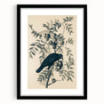 Grunge Crow and Fruit Illustration - Vintage Botanical Wall Art Print