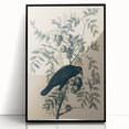 Grunge Crow and Fruit Illustration - Vintage Botanical Wall Art Print