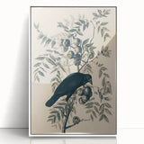Grunge Crow and Fruit Illustration - Vintage Botanical Wall Art Print