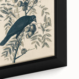 Grunge Crow and Fruit Illustration - Vintage Botanical Wall Art Print