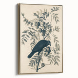 Grunge Crow and Fruit Illustration - Vintage Botanical Wall Art Print