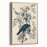 Grunge Crow and Fruit Illustration - Vintage Botanical Wall Art Print