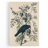 Grunge Crow and Fruit Illustration - Vintage Botanical Wall Art Print