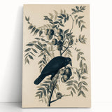 Grunge Crow and Fruit Illustration - Vintage Botanical Wall Art Print