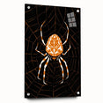 Grunge Spider and Web Art - Distressed Dark Insect Illustration Print