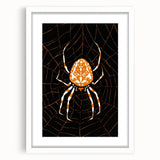 Grunge Spider and Web Art - Distressed Dark Insect Illustration Print