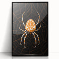 Grunge Spider and Web Art - Distressed Dark Insect Illustration Print