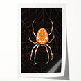 Grunge Spider and Web Art - Distressed Dark Insect Illustration Print