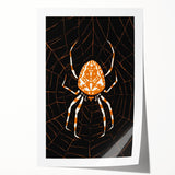 Grunge Spider and Web Art - Distressed Dark Insect Illustration Print