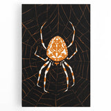 Grunge Spider and Web Art - Distressed Dark Insect Illustration Print
