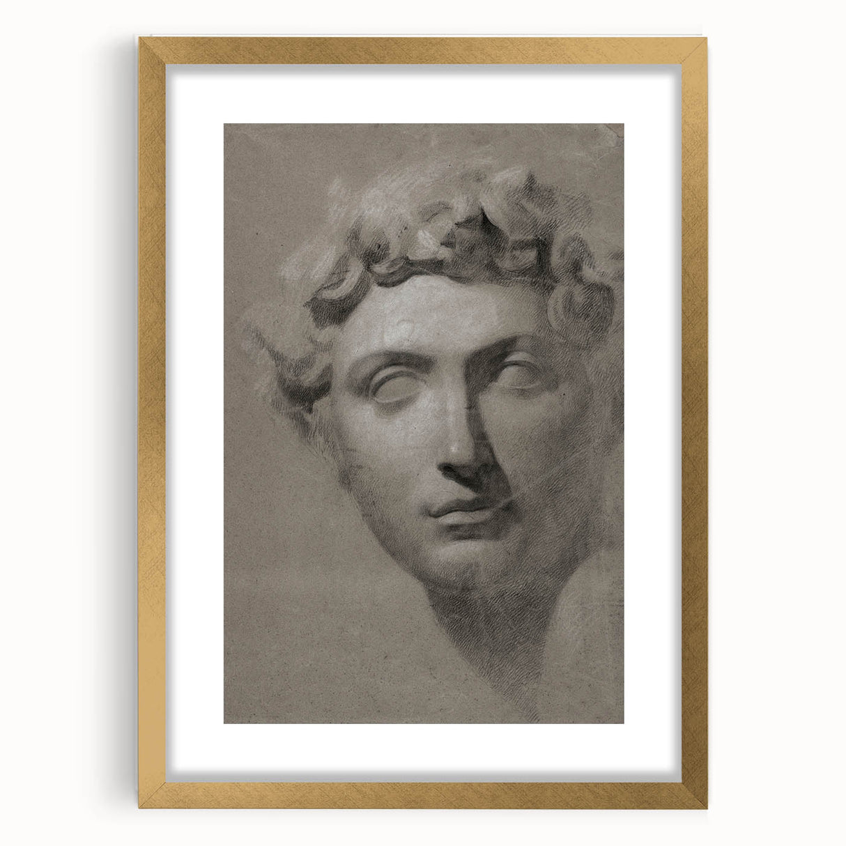 Vintage Grunge Bust Illustration - Distressed Classical Portrait Wall Art