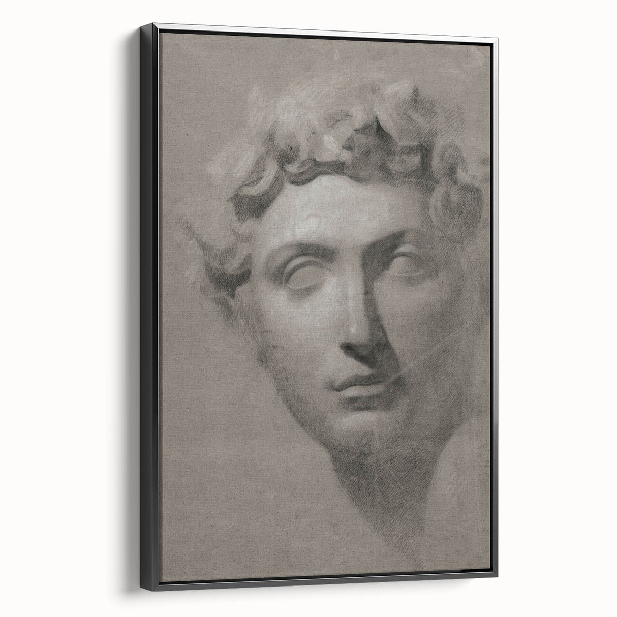Vintage Grunge Bust Illustration - Distressed Classical Portrait Wall Art