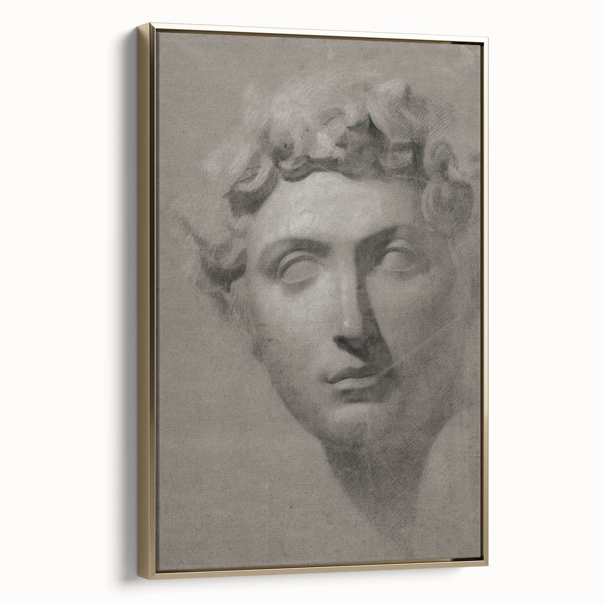 Vintage Grunge Bust Illustration - Distressed Classical Portrait Wall Art