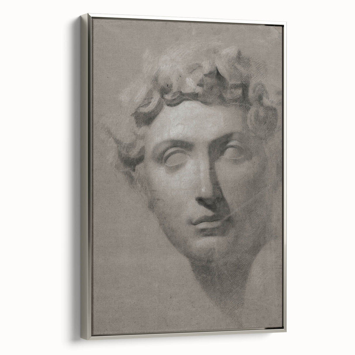 Vintage Grunge Bust Illustration - Distressed Classical Portrait Wall Art