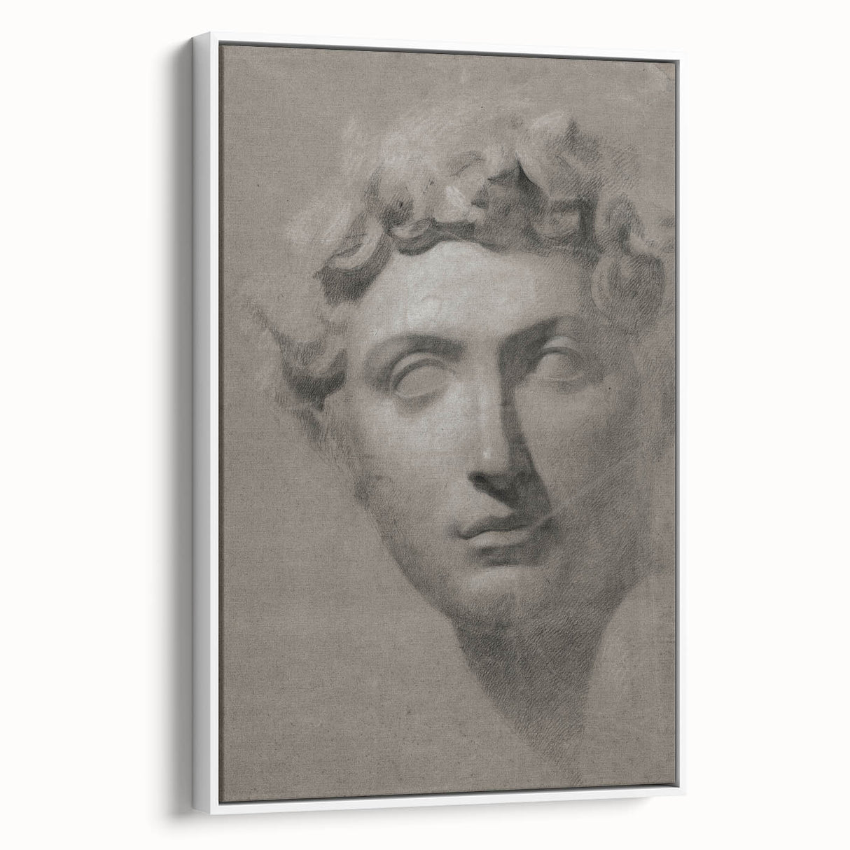 Vintage Grunge Bust Illustration - Distressed Classical Portrait Wall Art