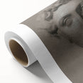 Vintage Grunge Bust Illustration - Distressed Classical Portrait Wall Art