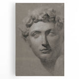 Vintage Grunge Bust Illustration - Distressed Classical Portrait Wall Art