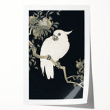 Grunge Parrot and Pomegranate Art - Vintage Dark Botanical Wall Print