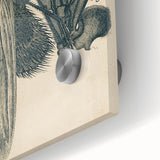 Vintage Grunge Insect Anatomy Print - Detailed Scientific Wall Art