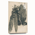 Vintage Grunge Insect Anatomy Print - Detailed Scientific Wall Art