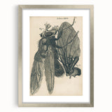 Vintage Grunge Insect Anatomy Print - Detailed Scientific Wall Art