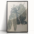 Vintage Grunge Insect Anatomy Print - Detailed Scientific Wall Art