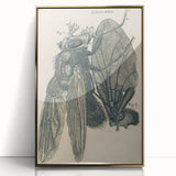 Vintage Grunge Insect Anatomy Print - Detailed Scientific Wall Art