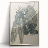 Vintage Grunge Insect Anatomy Print - Detailed Scientific Wall Art