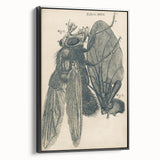 Vintage Grunge Insect Anatomy Print - Detailed Scientific Wall Art