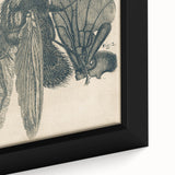 Vintage Grunge Insect Anatomy Print - Detailed Scientific Wall Art