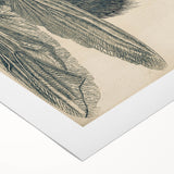 Vintage Grunge Insect Anatomy Print - Detailed Scientific Wall Art