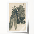 Vintage Grunge Insect Anatomy Print - Detailed Scientific Wall Art