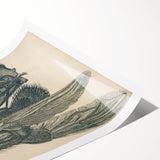 Vintage Grunge Insect Anatomy Print - Detailed Scientific Wall Art