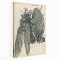 Vintage Grunge Insect Anatomy Print - Detailed Scientific Wall Art