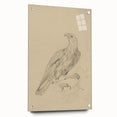 Abstract Grunge Eagle Sketch - Vintage Bird Wall Art Print