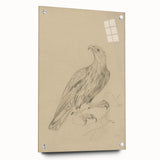 Abstract Grunge Eagle Sketch - Vintage Bird Wall Art Print