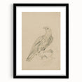 Abstract Grunge Eagle Sketch - Vintage Bird Wall Art Print
