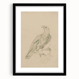 Abstract Grunge Eagle Sketch - Vintage Bird Wall Art Print
